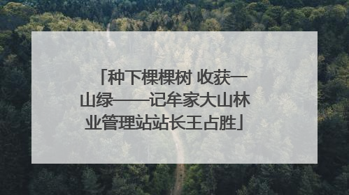 种下棵棵树 收获一山绿——记牟家大山林业管理站站长王占胜
