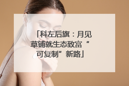 科左后旗：月见草铺就生态致富“可复制”新路