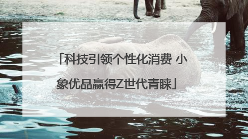 科技引领个性化消费 小象优品赢得Z世代青睐