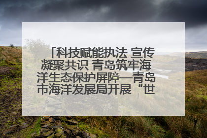 科技赋能执法 宣传凝聚共识 青岛筑牢海洋生态保护屏障—青岛市海洋发展局开展“世界海洋日”和“全国海洋宣传日”宣传活动