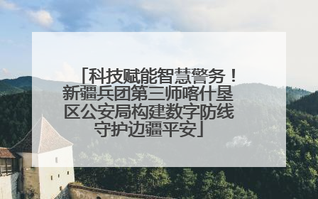 科技赋能智慧警务！新疆兵团第三师喀什垦区公安局构建数字防线守护边疆平安