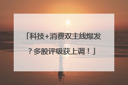 科技+消费双主线爆发？多股评级获上调！