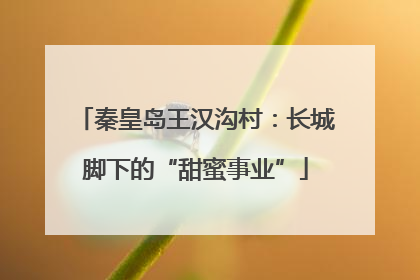 秦皇岛王汉沟村：长城脚下的“甜蜜事业”