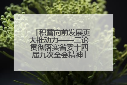 积蓄向前发展更大推动力——三论贯彻落实省委十四届九次全会精神