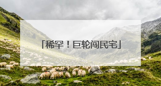 稀罕！巨轮闯民宅