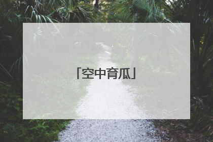 空中育瓜