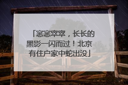 窸窸窣窣，长长的黑影一闪而过！北京有住户家中蛇出没