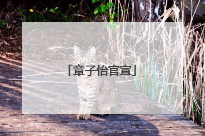 章子怡官宣
