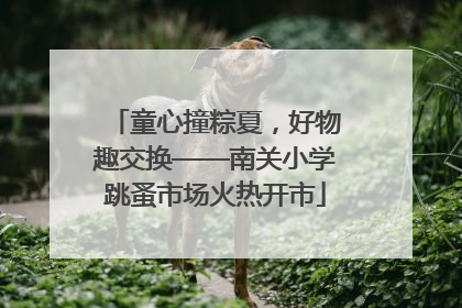童心撞粽夏，好物趣交换——南关小学跳蚤市场火热开市