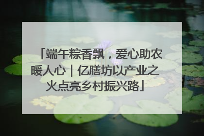 端午粽香飘，爱心助农暖人心｜亿膳坊以产业之火点亮乡村振兴路