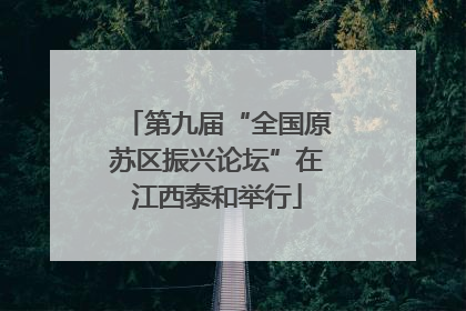 第九届“全国原苏区振兴论坛”在江西泰和举行