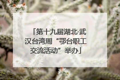 第十九届湖北·武汉台湾周“鄂台职工交流活动”举办