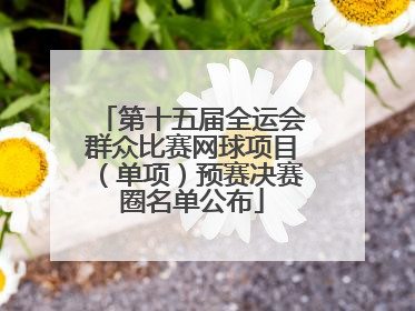 第十五届全运会群众比赛网球项目（单项）预赛决赛圈名单公布