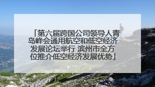第六届跨国公司领导人青岛峰会通用航空和低空经济发展论坛举行 滨州市全方位推介低空经济发展优势