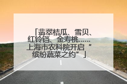 翡翠桔瓜、雪贝、红铃铛、金寿桃……上海市农科院开启“缤纷蔬菜之约”