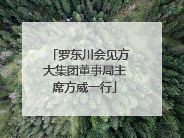 罗东川会见方大集团董事局主席方威一行