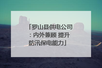 罗山县供电公司：内外兼顾 提升防汛保电能力