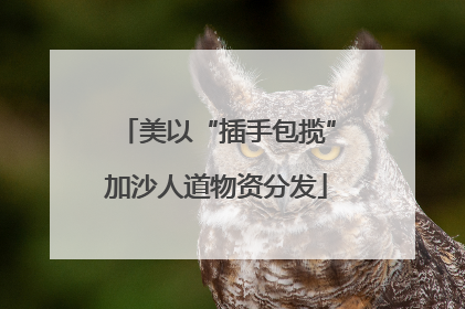 美以“插手包揽”加沙人道物资分发