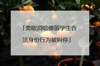 美取消哈佛留学生合法身份行为被叫停
