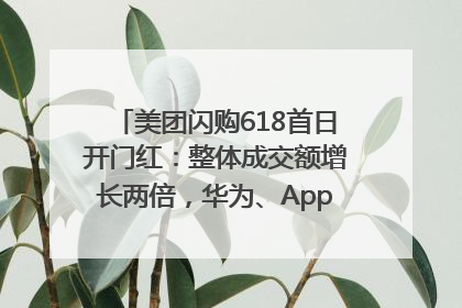美团闪购618首日开门红：整体成交额增长两倍，华为、Apple、沃尔玛等近800个品牌翻倍增长