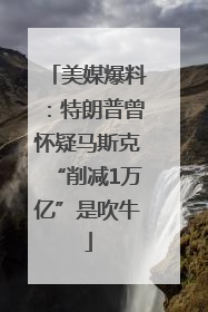 美媒爆料：特朗普曾怀疑马斯克“削减1万亿”是吹牛