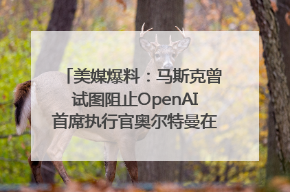 美媒爆料：马斯克曾试图阻止OpenAI首席执行官奥尔特曼在中东的AI交易