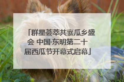 群星荟萃共襄瓜乡盛会 中国·东明第二十届西瓜节开幕式启幕