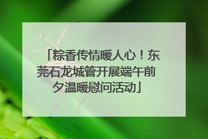 粽香传情暖人心！东莞石龙城管开展端午前夕温暖慰问活动