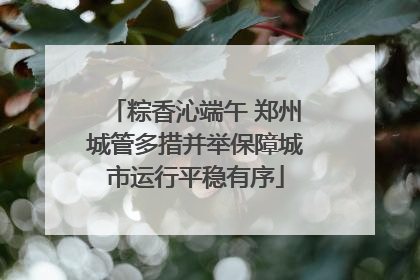 粽香沁端午 郑州城管多措并举保障城市运行平稳有序