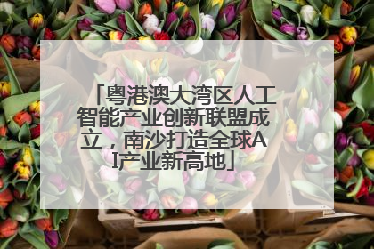 粤港澳大湾区人工智能产业创新联盟成立，南沙打造全球AI产业新高地