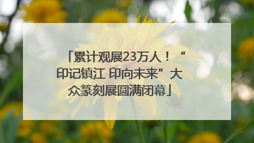 累计观展23万人！“印记镇江 印向未来”大众篆刻展圆满闭幕