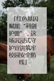 红色基因赋能“利剑护蕾”，这场沉浸式守护宣讲筑牢校园安全防线