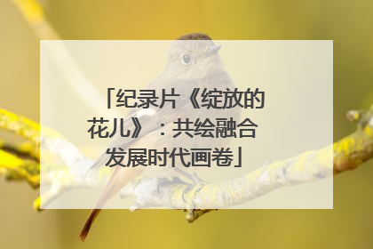 纪录片《绽放的花儿》：共绘融合发展时代画卷