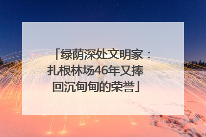 绿荫深处文明家：扎根林场46年又捧回沉甸甸的荣誉
