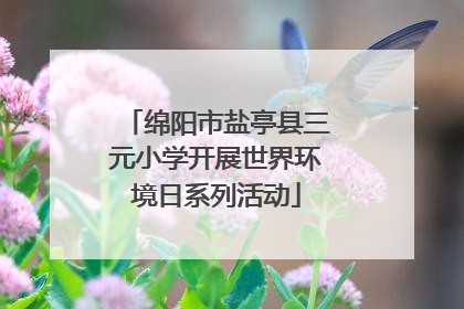 绵阳市盐亭县三元小学开展世界环境日系列活动