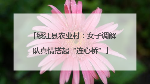 绥江县农业村：女子调解队真情搭起“连心桥”