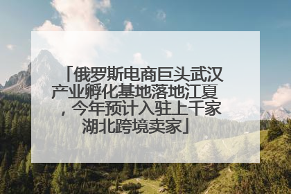 俄罗斯电商巨头武汉产业孵化基地落地江夏，今年预计入驻上千家湖北跨境卖家