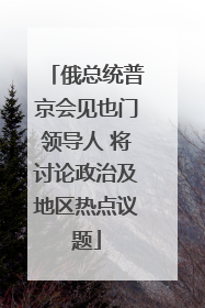 俄总统普京会见也门领导人 将讨论政治及地区热点议题