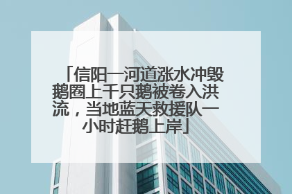 信阳一河道涨水冲毁鹅圈上千只鹅被卷入洪流，当地蓝天救援队一小时赶鹅上岸