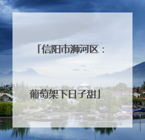 信阳市浉河区：葡萄架下日子甜