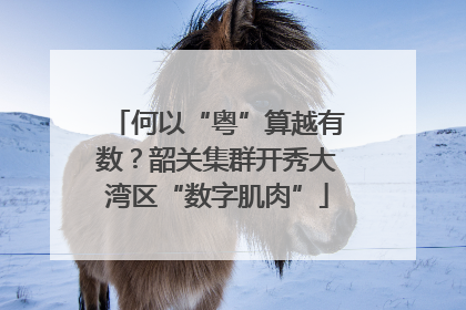 何以“粤”算越有数？韶关集群开秀大湾区“数字肌肉”