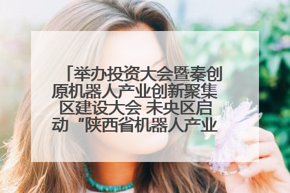 举办投资大会暨秦创原机器人产业创新聚集区建设大会 未央区启动“陕西省机器人产业聚集区”建设