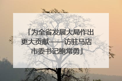 为全省发展大局作出更大贡献——访驻马店市委书记鲍常勇