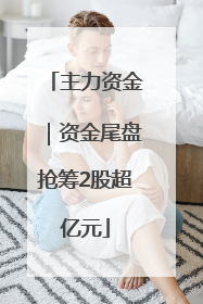 主力资金｜资金尾盘抢筹2股超亿元