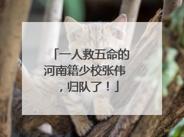 一人救五命的河南籍少校张伟，归队了！