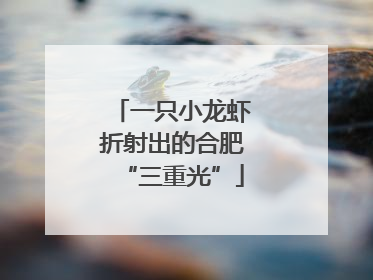 一只小龙虾折射出的合肥“三重光”