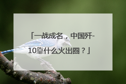 一战成名，中国歼-10靠什么火出圈？