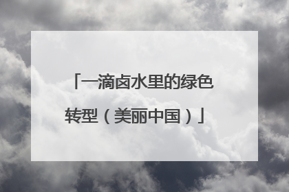 一滴卤水里的绿色转型（美丽中国）