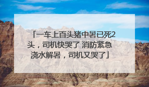 一车上百头猪中暑已死2头，司机快哭了 消防紧急浇水解暑，司机又哭了