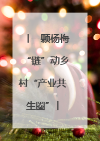 一颗杨梅“链”动乡村“产业共生圈”